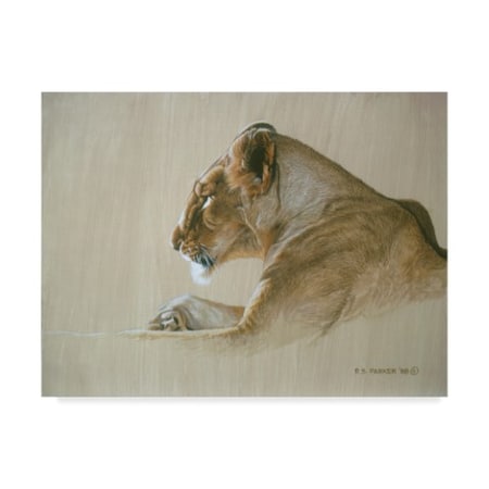 Ron Parker 'Lioness' Canvas Art,18x24